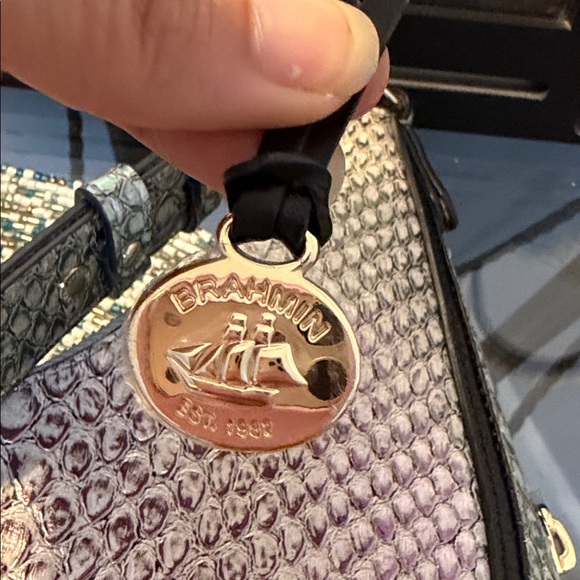 Brahmin Tabitha berry Potion Cimorene - Picture 4 of 8